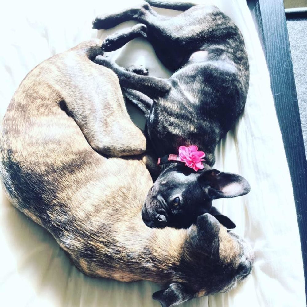 Meet your Posher, April